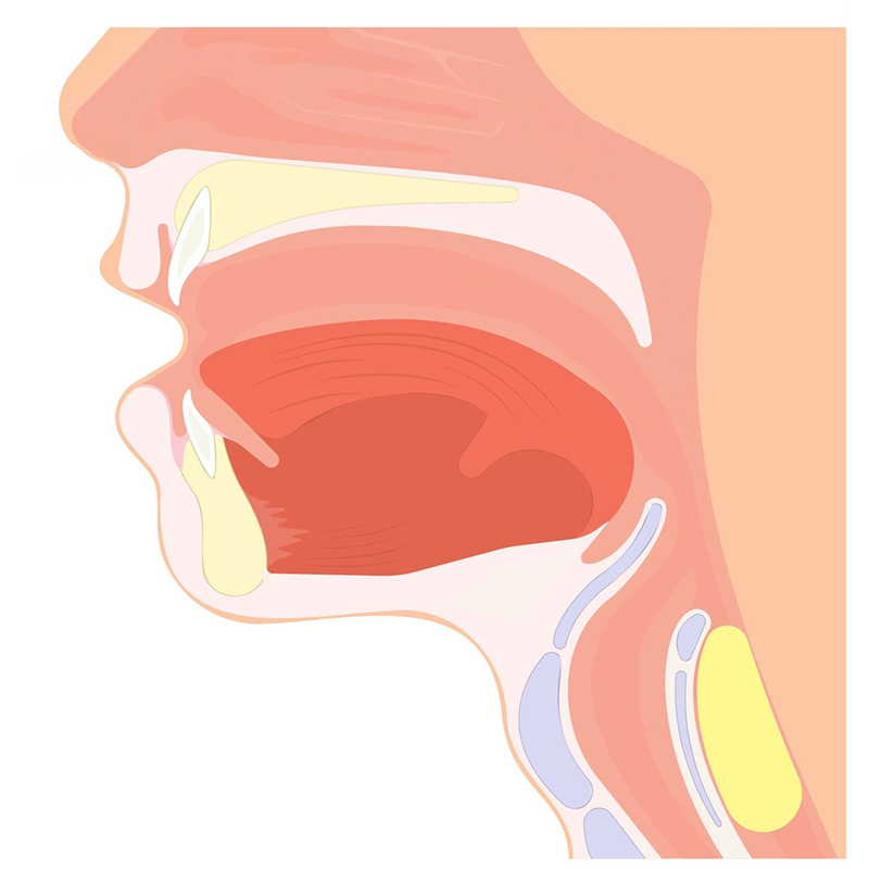 Oesophageal stage