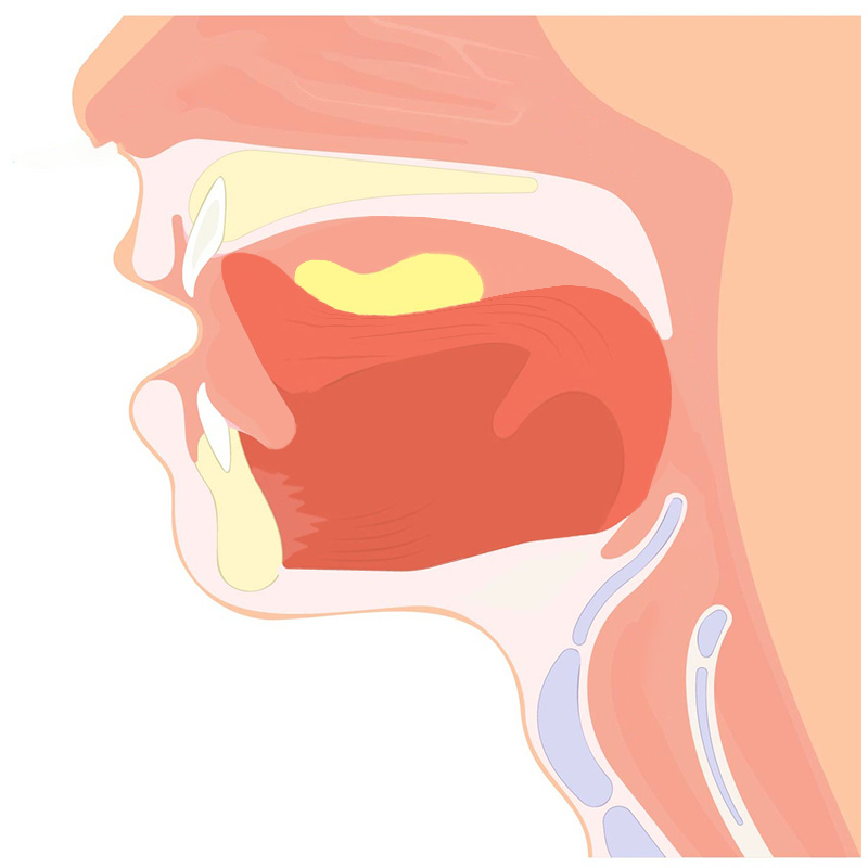 Oral Stage